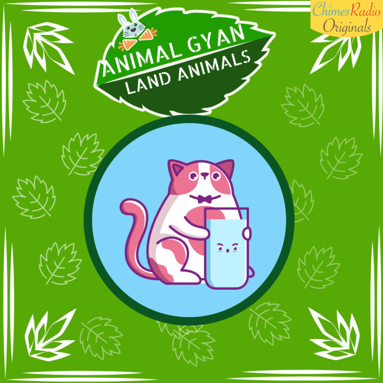 Cats, Animal Encyclopedia For Kids