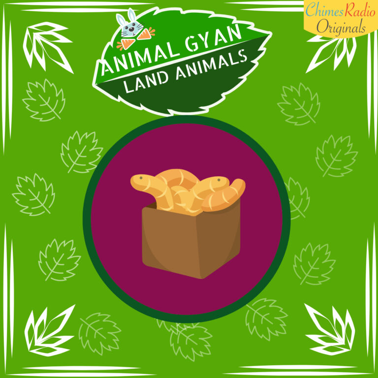 Earthworms, Animal Encyclopedia For Kids, Land Animals, Earthwords