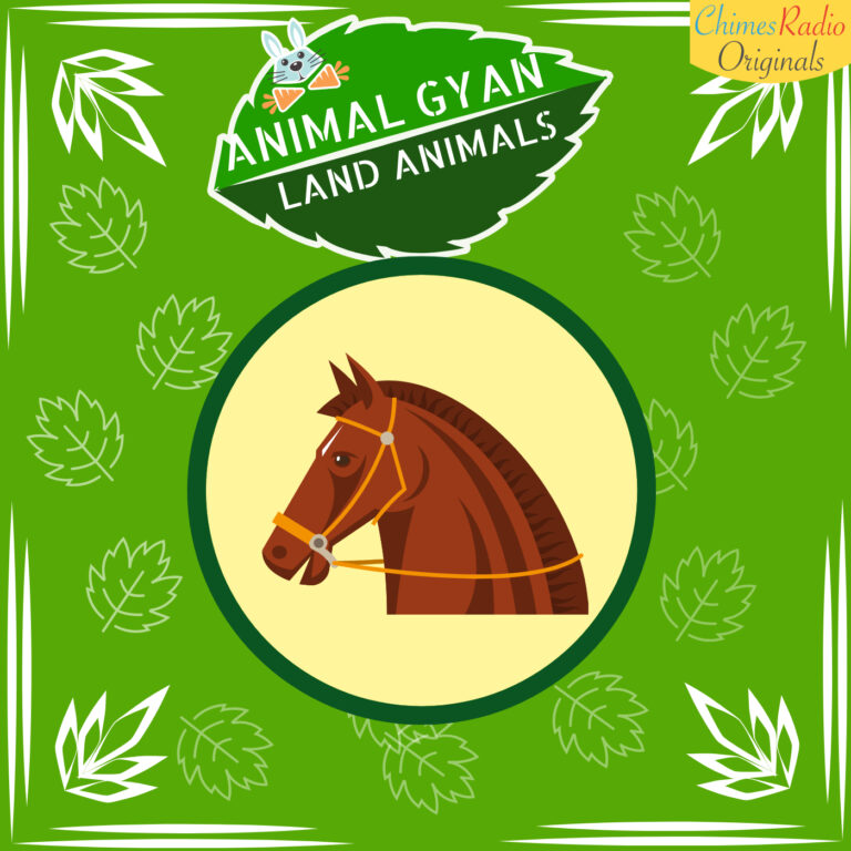 Horses, Animal Encyclopedia For Kids