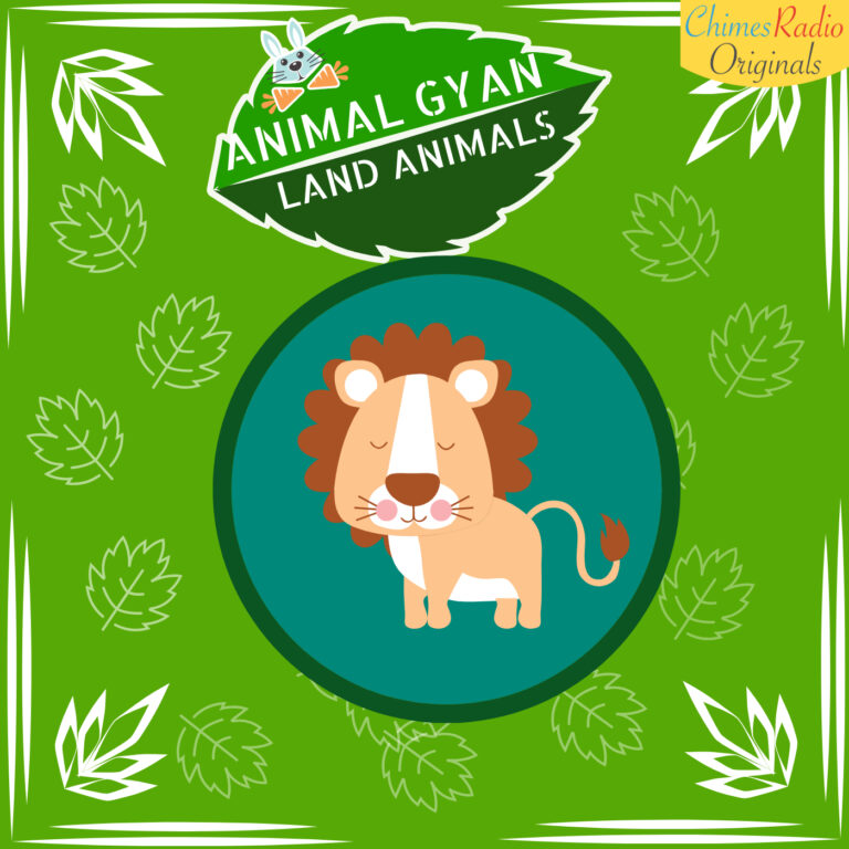Lion, Animal Encyclopedia For Kids, Land Animals