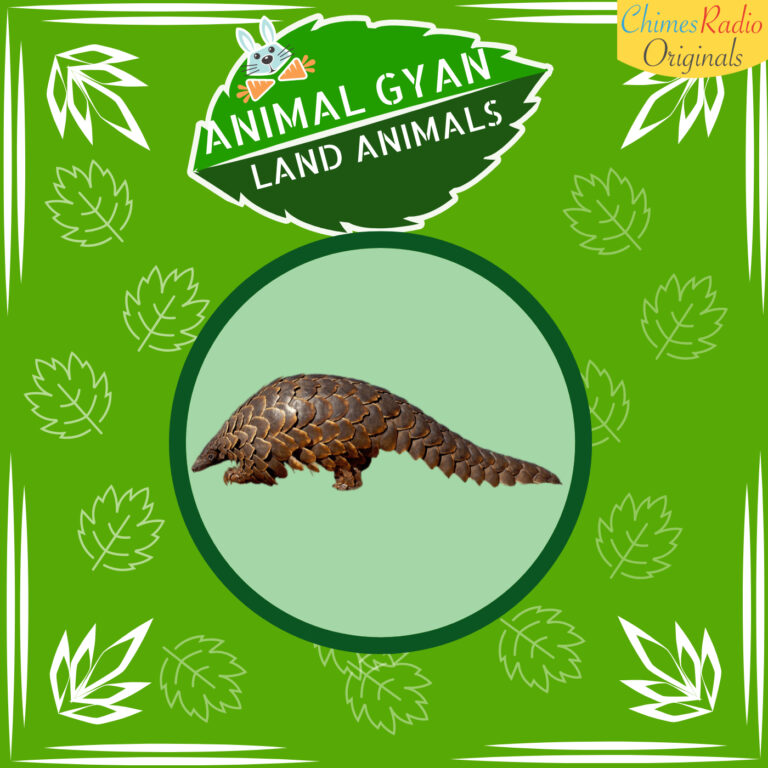 Pangolins, Animal Encyclopedia For Kids, Land Animals