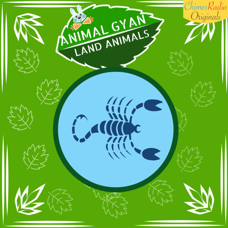 Scorpion, Animal Encyclopedia For Kids, Land Animals