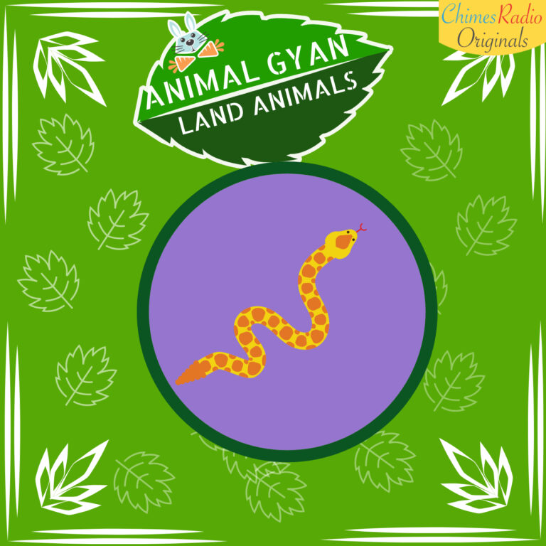 Snakes, Animal Encyclopedia For Kids, Land Animals