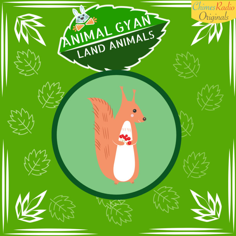 Squirrels, Animal Encyclopedia For Kids
