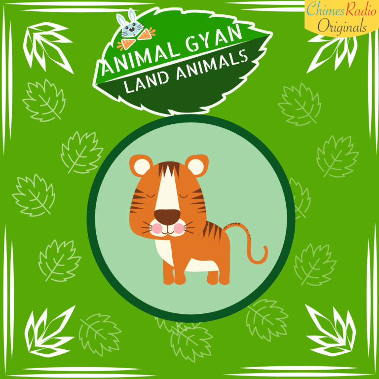 Tiger, Animal Encyclopedia For Kids