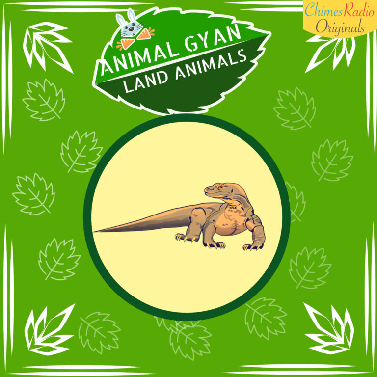 komodo dragon, Animal Encyclopedia For Kids, Land Animals