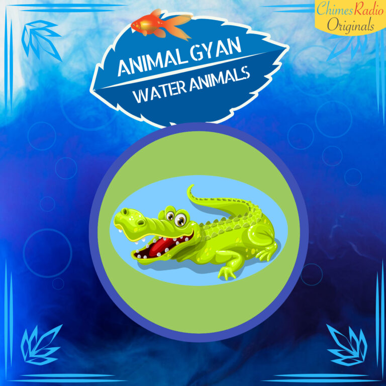Crocodile