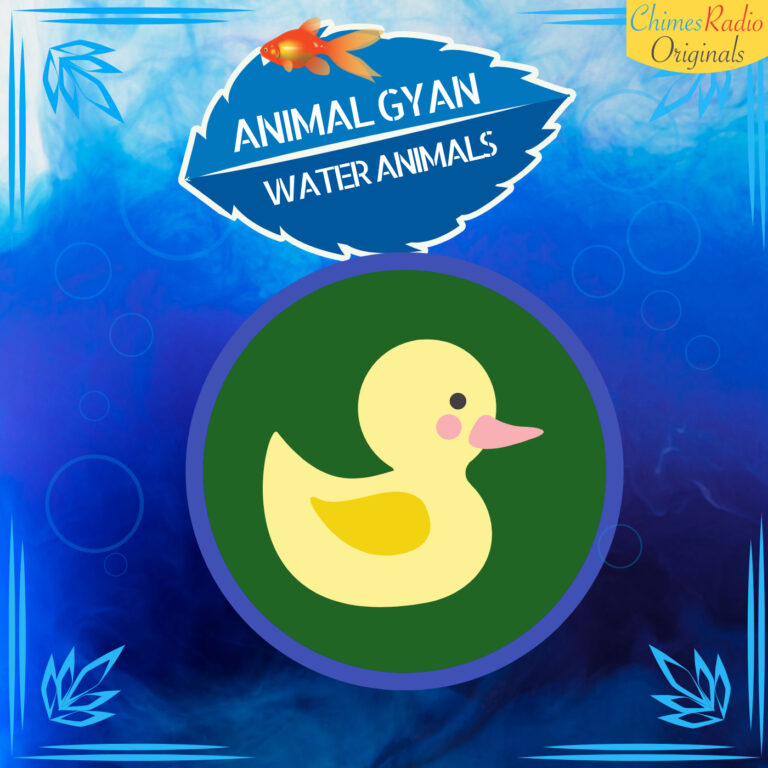 Ducks