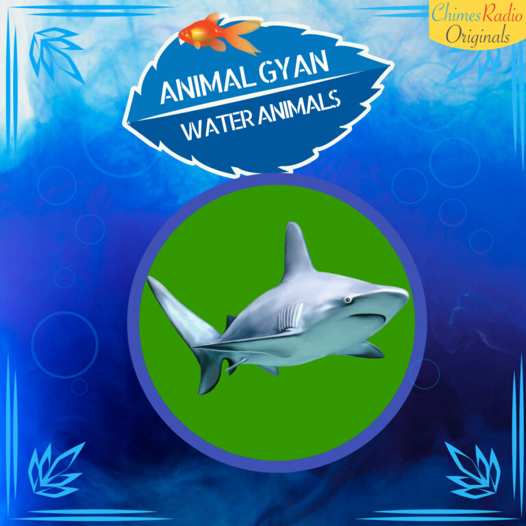 Sharks
